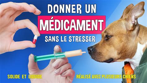 Utilisation De Celebrex Chez Le Chien